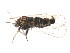  ( - BIOUG02055-E02)  @12 [ ] CreativeCommons - Attribution (2012) CBG Photography Group Centre for Biodiversity Genomics