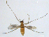  ( - XJ151)  @11 [ ] CreativeCommons - Attribution Non-Commercial Share-Alike (2018) Xiaolong Lin Department of Natural History, NTNU University Museum