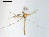  ( - XJ200)  @11 [ ] CreativeCommons - Attribution Non-Commercial Share-Alike (2018) Xiaolong Lin Department of Natural History, NTNU University Museum