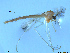  ( - XJ82)  @11 [ ] CreativeCommons - Attribution Non-Commercial Share-Alike (2016) Nankai University, College of Life Sciences Nankai University, College of Life Sciences