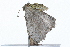  ( - 09PROBE-09614)  @12 [ ] CreativeCommons - Attribution (2009) Unspecified Centre for Biodiversity Genomics