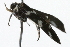  ( - 09PROBE-09616)  @13 [ ] CreativeCommons - Attribution (2009) Unspecified Centre for Biodiversity Genomics
