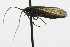  ( - 09PROBE-09626)  @13 [ ] CreativeCommons - Attribution (2009) Unspecified Centre for Biodiversity Genomics