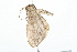  ( - 09PROBE-09402)  @13 [ ] CreativeCommons - Attribution (2009) Unspecified Centre for Biodiversity Genomics