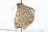  ( - 09PROBE-09405)  @13 [ ] CreativeCommons - Attribution (2009) Unspecified Centre for Biodiversity Genomics