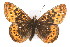  ( - 09PROBE-09548)  @15 [ ] CreativeCommons - Attribution (2009) Unspecified Centre for Biodiversity Genomics