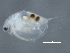  ( - CCDB-08345-G04)  @13 [ ] CreativeCommons - Attribution (2012) CBG Photography Group Centre for Biodiversity Genomics