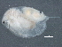  ( - CCDB-08345-H07)  @13 [ ] CreativeCommons - Attribution (2012) CBG Photography Group Centre for Biodiversity Genomics