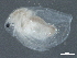  ( - CCDB-08345-H10)  @12 [ ] CreativeCommons - Attribution (2012) CBG Photography Group Centre for Biodiversity Genomics