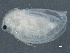  ( - CCDB-08345-H11)  @12 [ ] CreativeCommons - Attribution (2012) CBG Photography Group Centre for Biodiversity Genomics
