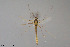  ( - NO125)  @11 [ ] Creative Commons  Attribution Non-Commercial Share-Alike (2021) NTNU University Museum, Department of Natural History NTNU University Museum, Department of Natural History