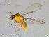  ( - NO148)  @11 [ ] Creative Commons  Attribution Non-Commercial Share-Alike (2021) NTNU University Museum, Department of Natural History NTNU University Museum, Department of Natural History