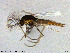  ( - NO151)  @11 [ ] Creative Commons  Attribution Non-Commercial Share-Alike (2021) NTNU University Museum, Department of Natural History NTNU University Museum, Department of Natural History
