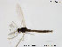  ( - TRD-CH136)  @12 [ ] CreativeCommons - Attribution Non-Commercial Share-Alike (2014) NTNU University Museum, Department of Natural History NTNU University Museum, Department of Natural History