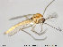  ( - TRD-CH150)  @12 [ ] CreativeCommons - Attribution Non-Commercial Share-Alike (2014) NTNU University Museum, Department of Natural History NTNU University Museum, Department of Natural History