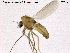  ( - TRD-CH19)  @13 [ ] CreativeCommons - Attribution Non-Commercial Share-Alike (2013) NTNU Museum of Natural History and Archaeology NTNU Museum of Natural History and Archaeology