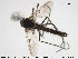  ( - TRD-CH204)  @13 [ ] CreativeCommons - Attribution Non-Commercial Share-Alike (2015) NTNU University Museum, Department of Natural History NTNU University Museum, Department of Natural History