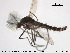  ( - TRD-CH205)  @14 [ ] CreativeCommons - Attribution Non-Commercial Share-Alike (2015) NTNU University Museum, Department of Natural History NTNU University Museum, Department of Natural History