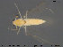  ( - TRD-CH243)  @12 [ ] CreativeCommons - Attribution Non-Commercial Share-Alike (2015) NTNU University Museum, Department of Natural History NTNU University Museum, Department of Natural History
