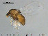  ( - TRD-CH249)  @11 [ ] CreativeCommons - Attribution Non-Commercial Share-Alike (2015) NTNU University Museum, Department of Natural History NTNU University Museum, Department of Natural History