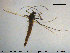  ( - TRD-CH280)  @12 [ ] CreativeCommons - Attribution Non-Commercial Share-Alike (2015) NTNU University Museum, Department of Natural History NTNU University Museum, Department of Natural History