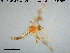  ( - TRD-CH284)  @11 [ ] CreativeCommons - Attribution Non-Commercial Share-Alike (2015) NTNU University Museum, Department of Natural History NTNU University Museum, Department of Natural History