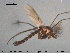  ( - TRD-CH304)  @13 [ ] CreativeCommons - Attribution Non-Commercial Share-Alike (2015) NTNU University Museum, Department of Natural History NTNU University Museum, Department of Natural History