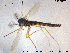  ( - TRD-CH306)  @11 [ ] CreativeCommons - Attribution Non-Commercial Share-Alike (2015) NTNU University Museum, Department of Natural History NTNU University Museum, Department of Natural History
