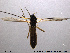  ( - TRD-CH31)  @13 [ ] CreativeCommons - Attribution Non-Commercial Share-Alike (2013) NTNU Museum of Natural History and Archaeology NTNU Museum of Natural History and Archaeology