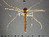  ( - TRD-CH319)  @12 [ ] CreativeCommons - Attribution Non-Commercial Share-Alike (2015) NTNU University Museum, Department of Natural History NTNU University Museum, Department of Natural History