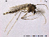  ( - TRD-CH32)  @13 [ ] CreativeCommons - Attribution Non-Commercial Share-Alike (2013) NTNU Museum of Natural History and Archaeology NTNU Museum of Natural History and Archaeology