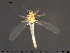  ( - TRD-CH399)  @13 [ ] CreativeCommons - Attribution Non-Commercial Share-Alike (2015) NTNU University Museum, Department of Natural History NTNU University Museum, Department of Natural History