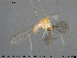  ( - TRD-CH405)  @12 [ ] CreativeCommons - Attribution Non-Commercial Share-Alike (2015) NTNU University Museum, Department of Natural History NTNU University Museum, Department of Natural History