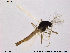  ( - TRD-CH55)  @12 [ ] CreativeCommons - Attribution Non-Commercial Share-Alike (2014) NTNU University Museum, Department of Natural History NTNU University Museum, Department of Natural History