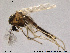  ( - TRD-CH6)  @12 [ ] CreativeCommons - Attribution Non-Commercial Share-Alike (2013) NTNU Museum of Natural History and Archaeology NTNU Museum of Natural History and Archaeology