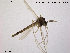  ( - TRD-CH76)  @12 [ ] CreativeCommons - Attribution Non-Commercial Share-Alike (2014) NTNU University Museum, Department of Natural History NTNU University Museum, Department of Natural History