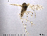  ( - TRD-CH8)  @12 [ ] CreativeCommons - Attribution Non-Commercial Share-Alike (2013) NTNU Museum of Natural History and Archaeology NTNU Museum of Natural History and Archaeology
