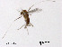  ( - CHGLG37)  @11 [ ] CreativeCommons-Attribution Non-Commercial Share-Alike (2020) Xiaolong Lin Nankai University, College of Life Sciences