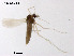  ( - CHGLG40)  @11 [ ] CreativeCommons-Attribution Non-Commercial Share-Alike (2020) Xiaolong Lin Nankai University, College of Life Sciences