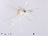  ( - CHGLG42)  @11 [ ] CreativeCommons-Attribution Non-Commercial Share-Alike (2020) Xiaolong Lin Nankai University, College of Life Sciences