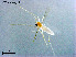  ( - CHGLG54)  @11 [ ] CreativeCommons-Attribution Non-Commercial Share-Alike (2020) Xiaolong Lin Nankai University, College of Life Sciences