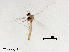  ( - LZB41)  @11 [ ] CreativeCommons-Attribution Non-Commercial Share-Alike (2020) Xiaolong Lin Nankai University, College of Life Sciences