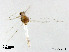  ( - LZB58)  @11 [ ] CreativeCommons-Attribution Non-Commercial Share-Alike (2020) Xiaolong Lin Nankai University, College of Life Sciences