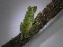  ( - AJC 7040)  @11 [ ] CreativeCommons - Attribution (2019) Carlos Jimenez-Rivillas Universidad de los Andes