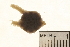  ( - 09CHON-041)  @12 [ ] CreativeCommons - Attribution (2010) Unspecified Centre for Biodiversity Genomics
