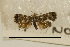  ( - USNM ENT 00730446)  @13 [ ] Unspecified (default): All Rights Reserved  Unspecified Unspecified