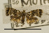  ( - USNM ENT 00730483)  @13 [ ] Unspecified (default): All Rights Reserved  Unspecified Unspecified