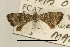  ( - USNM 1604)  @13 [ ] Unspecified (default): All Rights Reserved  Unspecified Unspecified