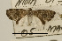  ( - USNM 1746)  @13 [ ] Unspecified (default): All Rights Reserved  Unspecified Unspecified