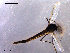  ( - CH-OSF146)  @12 [ ] CreativeCommons - Attribution Non-Commercial Share-Alike (2011) NTNU Museum of Natural History and Archaeology NTNU Museum of Natural History and Archaeology